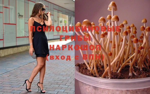 ешки Балахна