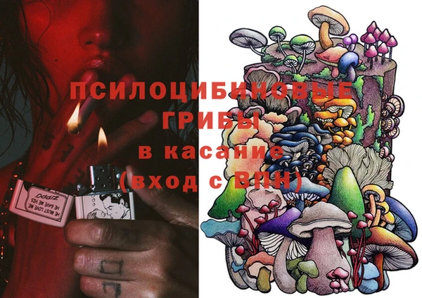 трава Аркадак